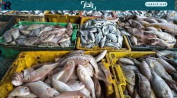 أسعار الأسماك في كفر الشيخ الأحد 12 أكتوبر 2025 تتصدر السوق